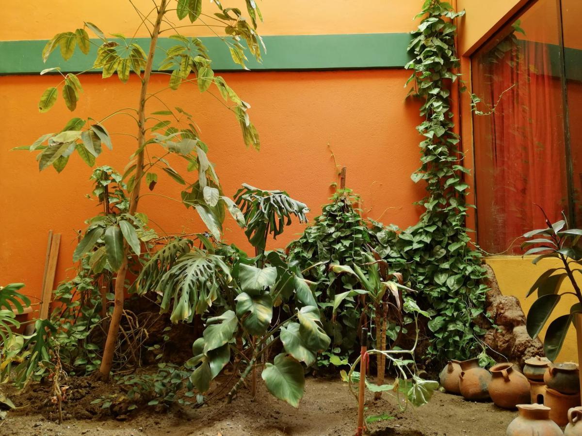 Olas Del Titicaca Backpackers Hostel Copacabana  Zewnętrze zdjęcie